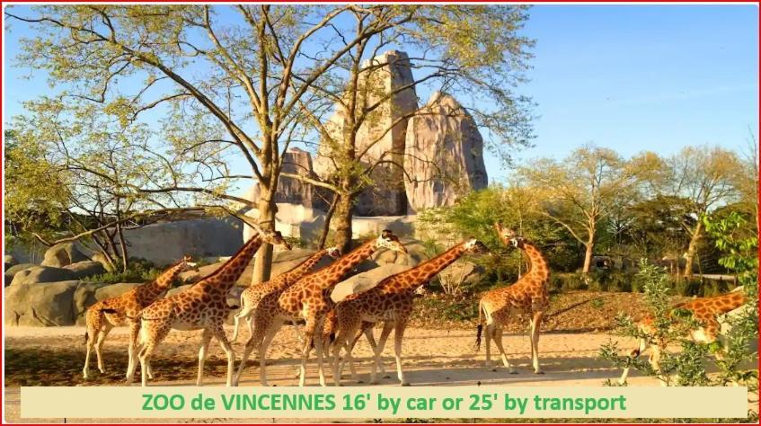Maison Cosy 15 Mn Paris - Linges Hotel Confort Vitry-sur-Seine Εξωτερικό φωτογραφία